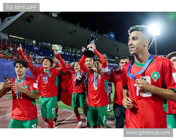 2026年世界杯足球国家队排名全景图，揭示各大强队的最新排名与竞争格局